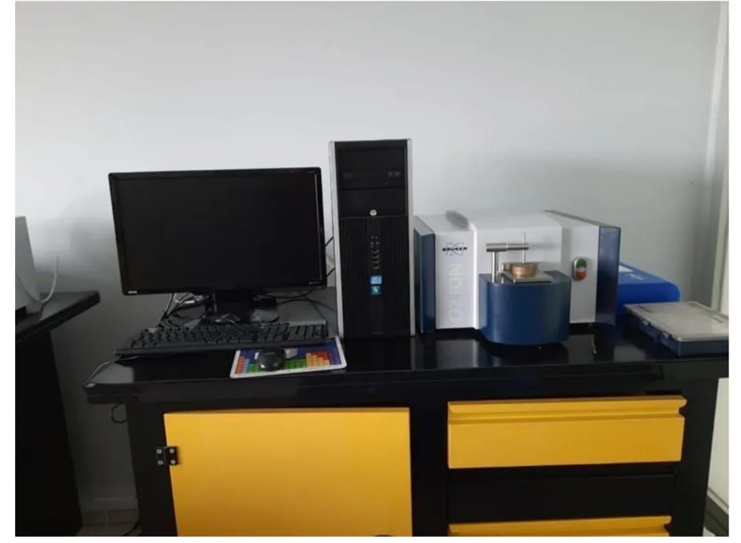 Bruker Q2 ION Analiz Cihazı (2012)